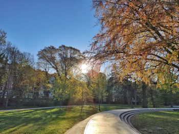 Road amidst trees against sky during autumn