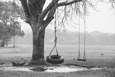 View of swing hanging on tree trunk in field