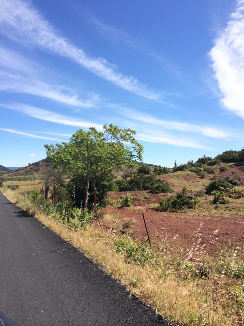 sky, road, the way forward, landscape, tranquil scene, tranquility, tree, transportation, blue, nature, dirt road, grass, country road, cloud, scenics, cloud - sky, beauty in nature, field, non-urban scene, plant