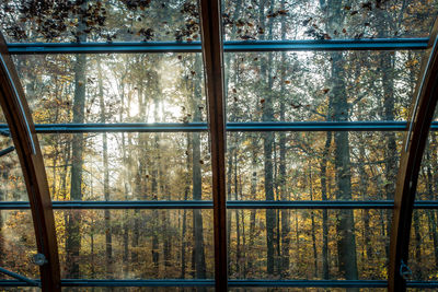 Full frame shot of glass window in forest