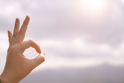 Cropped hand gesturing against sky