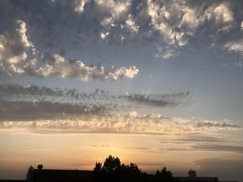 Silhouette trees against sky during sunset