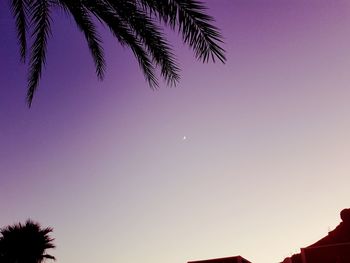 Low angle view of silhouette palm tree against sky at dusk