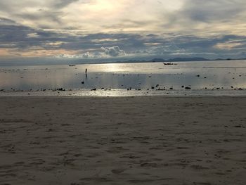 Birds on beach against sky