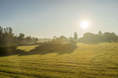 Scenic view of field against bright sun