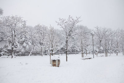 Bare trees on snow covered field against sky