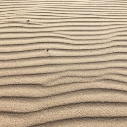 Full frame shot of sand dune