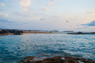 Birds flying over sea against sky