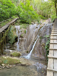 Scenic view of waterfall in forest