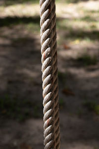 Close-up of rope on wood