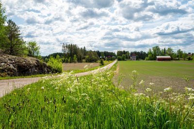 Scenic view of countryside against sky