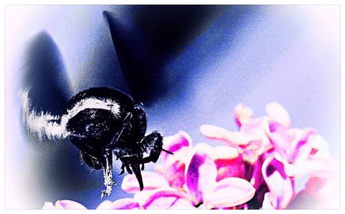 Close-up of building