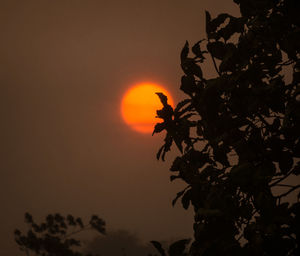 Low angle view of silhouette tree against sky during sunset