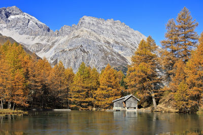 Scenic view of lake by trees during autumn