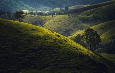 Scenic view of landscape