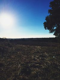 Scenic view of landscape against clear sky