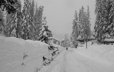 Snow covered road amidst trees against sky