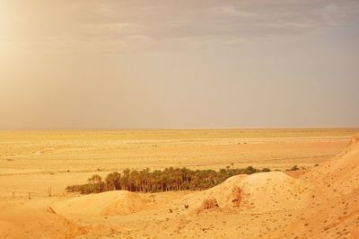 Scenic view of desert against sky