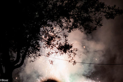 Low angle view of silhouette trees against sky at night