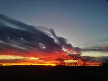 Silhouette trees on field against sky during sunset