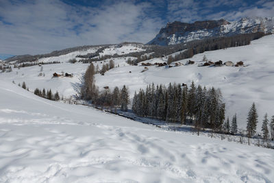 Beautiful day in the mountains with snow-covered fir trees and a snowy mountain panorama.