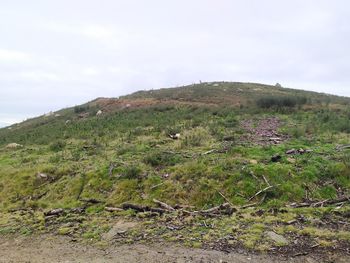 Scenic view of land against sky