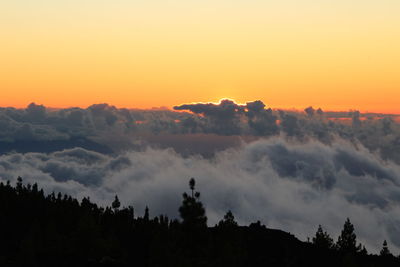 Panoramic view of silhouette trees against sky during sunset