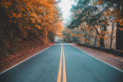 Empty road along trees during autumn