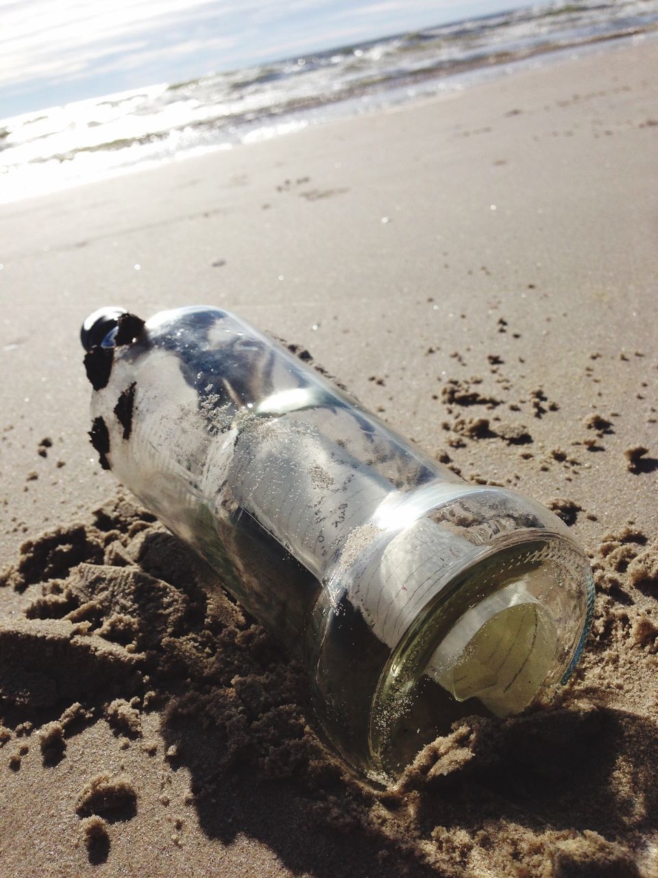 sea, beach, sand, shore, water, nature, one animal, horizon over water, day, outdoors, animal themes, close-up, no people