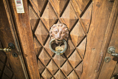 Close-up of animal representation on wooden door