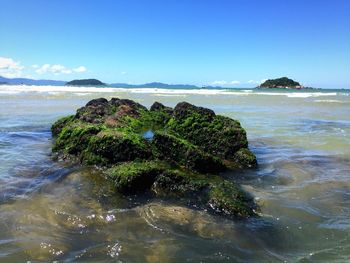 Scenic view of sea against blue sky