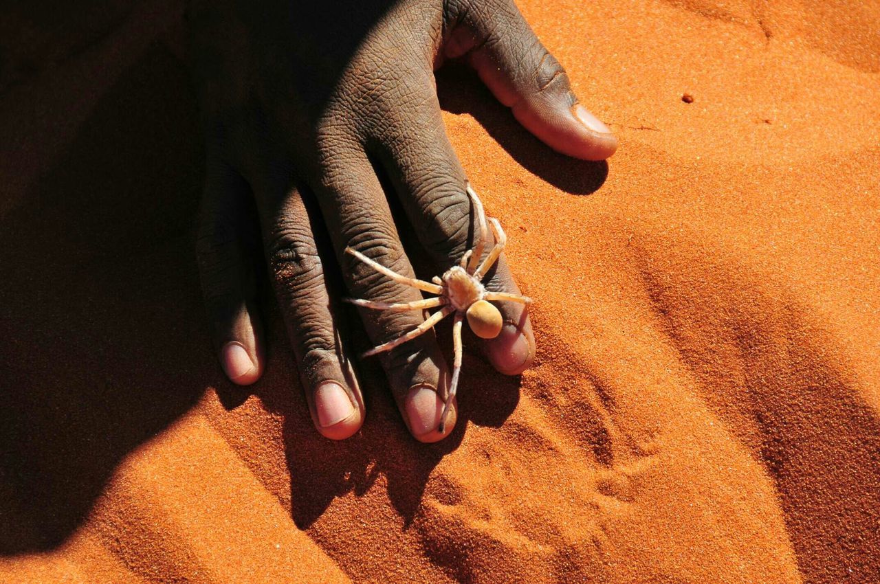 Namib naukluft national park