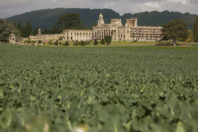 View of historic building on field