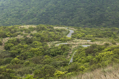 High angle view of road amidst trees in forest