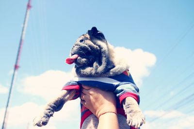 Low angle view of woman with dog against sky