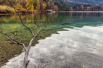 Scenic view of lake in forest during autumn