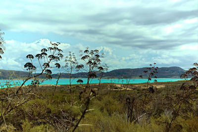 Scenic view of landscape against sky