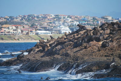 Panoramic shot of sea and buildings against sky