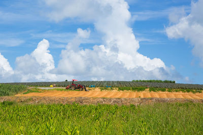 Scenic view of agricultural field against sky