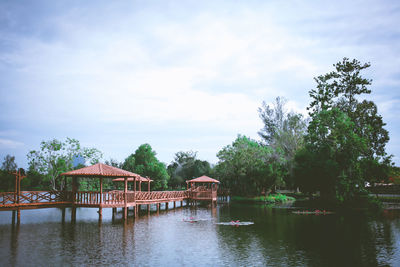 Late winter and early spring on the pond of the melati lake, perlis