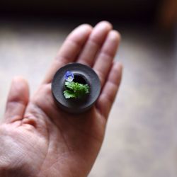 High angle view of plant on palm