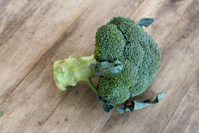 High angle view of vegetables on table