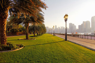 Street amidst palm trees in park against clear sky