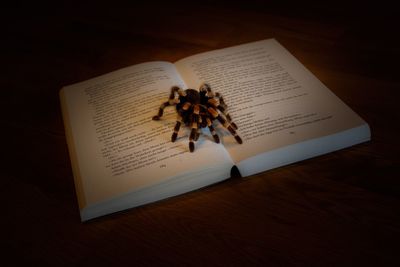 Close-up of text on paper