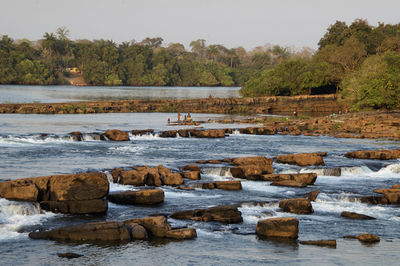 Scenic view of river by trees against sky