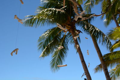 Low angle view of coconut palm trees against sky