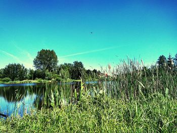 Scenic view of lake against clear blue sky