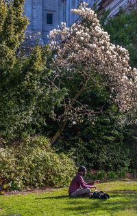 Rear view of woman sitting on flowering plants