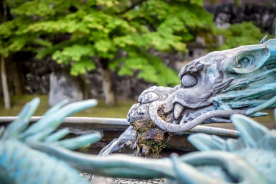 Close-up of a statue against blurred background