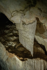 Close-up of dry leaves on rock